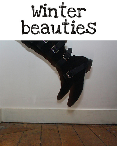winter beauties