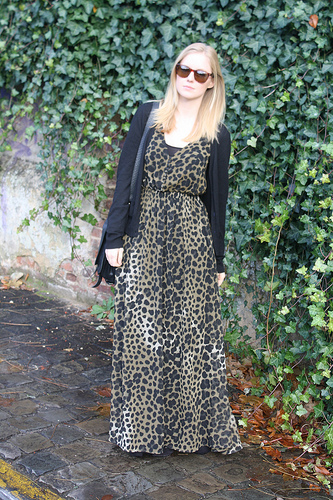Winter leopard