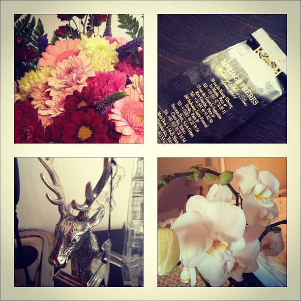 Beautiful presents from our housewarming yesterday!