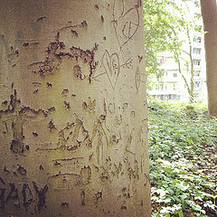 Walk in our local park