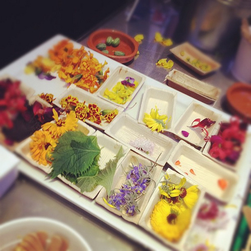 Eating flowers tonight,casual Tuesday I told you!
