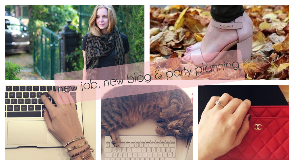life update: new job, new blog & party planning